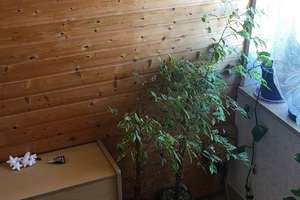 Doppelhaushälfte in Nürnberg Moorenbrunn ! – Die vollständige Adresse der Immobilie erhältst du vom Anbieter., 90475 Altenfurt, Moorenbrunn, Nürnberg – Vorschaubild 28