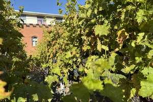 Property thumbnail 30