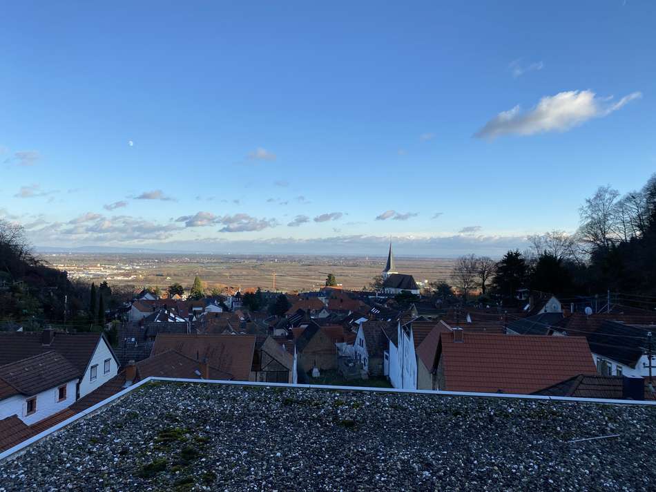 Ausblick