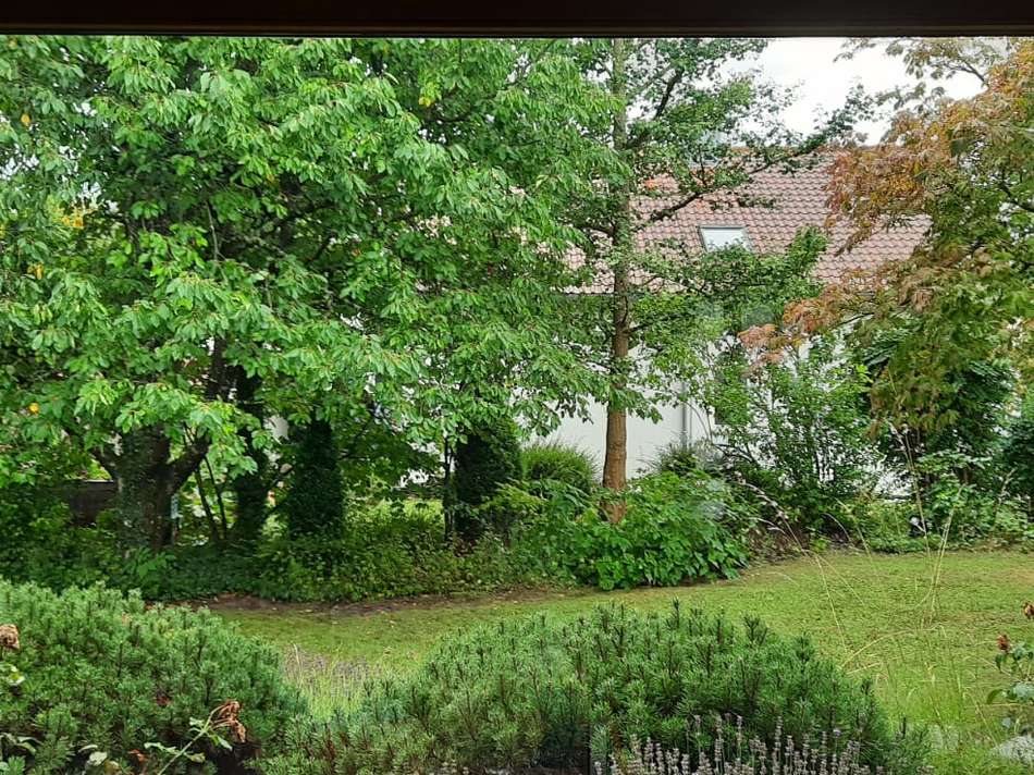 Aussicht_Wohnzimmer_Garten