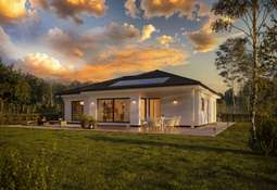 WHITE&BLACK 115 BNG | C3