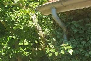 Bauernhaus mit bezauberndem Garten – Quelkhorner Landstraße 3, 28870 Ottersberg – Vorschaubild 10