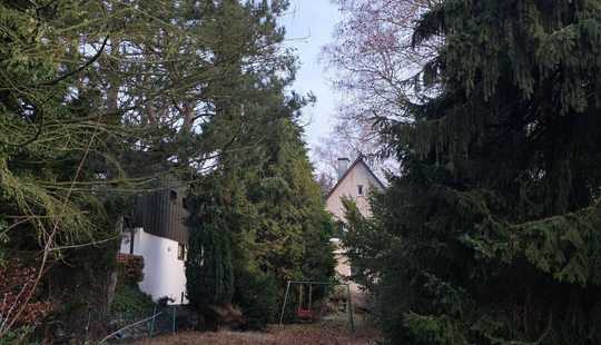 Bild von Baupartner für hintere Bebauung auf tollem Südgrundstück gesucht