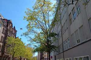 Möbliertes Apartment in zentraler Lage in Nürnberg – Nürnberg – Vorschaubild 12