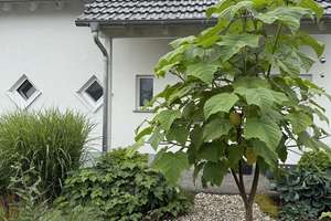Freistehendes Einfamilienhaus in Ober-Rosbach (AC, PV, Solar, WP, etc.) - provisionsfrei – Die vollständige Adresse der Immobilie erhältst du vom Anbieter., 61191 Rosbach vor der Höhe – Vorschaubild 2