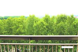 Stilvolle, modernisierte 2-Raum-Wohnung mit Südbalkon und EBK in Köln Weiden