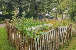 Property thumbnail 37