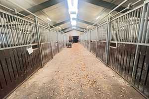Charmanter Resthof in fast Alleinlage – Wohnen, Leben, Arbeiten im Einklang mit der Natur – Emsland (Kreis) – Vorschaubild 44
