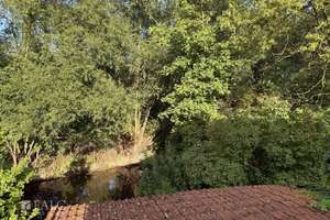 ***Doppelhaushälfte in Hullersen - Großzügiges Wohnen in idyllischer Lage*** – Die vollständige Adresse der Immobilie erhältst du vom Anbieter., 37574 Einbeck – Vorschaubild 15