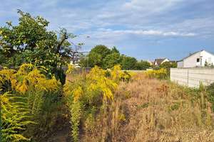 Doppelhaushälfte mit Garage und
Garten in Philippsburg-Huttenheim! – Die vollständige Adresse der Immobilie erhältst du vom Anbieter., 76661 Philippsburg – Vorschaubild 3