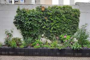 Property thumbnail 16