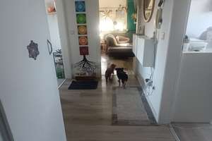 Renditestarkes MFH in LU-Edigheim-Modernisiert, mit Garten, Garage und Mietplus (Soll ca. 6% ) – 67069 Edigheim, Ludwigshafen am Rhein – Vorschaubild 30