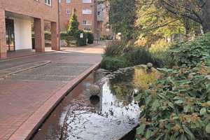 Wohnen am Wasser: 1,5-Zimmer-DG mit Aufzug und Westterrasse in Köpenick – Berlin – Vorschaubild 13