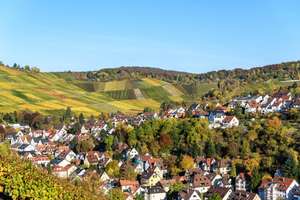 Wohnen am Weinberg - ruhig, hochwertig und stadtnah - 3 Zimmer
