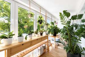 Einziehen und wohlfühlen – modernisiertes Reihenendhaus mit traumhaftem Garten – Die vollständige Adresse der Immobilie erhältst du vom Anbieter., 47839 Hüls, Krefeld – Vorschaubild 12