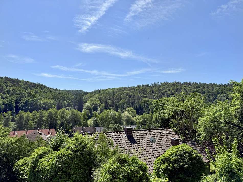 Ausblick vom Erdgeschoss
