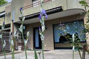 Im Sommer im eigenen Garten:  Gepflegtes & modernisiertes Reihenmittelhaus – Münster – Vorschaubild 2