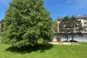 3-Zimmer Wohnung in Solingen-Mitte – Kirschbaumerstraße 88, 42655 Solingen-Mitte, Solingen – Vorschaubild 9