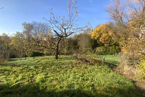 Charmantes Anwesen - großer Garten - Doppelgarage – Die vollständige Adresse der Immobilie erhältst du vom Anbieter., 63517 Rodenbach – Vorschaubild 22