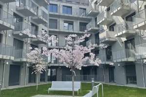 Studenten aufgepasst! Möblierte Apartments zu vermieten! https://lenne-quartier.de/