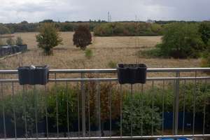 Großzügiges  Einfamilienhaus im Grünen von Köln Porz – Tiergartenstr. 29, 51145 Elsdorf, Köln – Vorschaubild 28