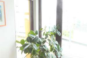 Loft-/Penthousewohnung in Köln-Südstadt –  Neubauaufstockung mit Dachterrasse  – Martin-Luther-Platz 13, 50677 Neustadt/Süd, Köln – Vorschaubild 5