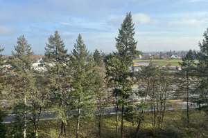 Property thumbnail 29