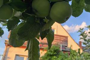 Provisionsfrei - Ihr Zuhause für die Familie und mehr – Die vollständige Adresse der Immobilie erhältst du vom Anbieter., 45149 Haarzopf, Essen – Vorschaubild 57