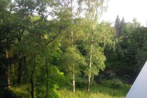 Appartement am Teich ... Vielleicht mit Möbeln? – Eiselstraße 114, 7549 Lusan-Laune, Gera – Vorschaubild 9