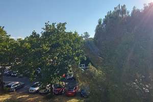 Vollmöblierte 1-Zimmer-Wohnung mit Balkon – Erstbezug nach umfassender Renovierung in Karlsruhe-Mühl – Lameystraße 27, 76185 Mühlburg, Karlsruhe – Vorschaubild 19