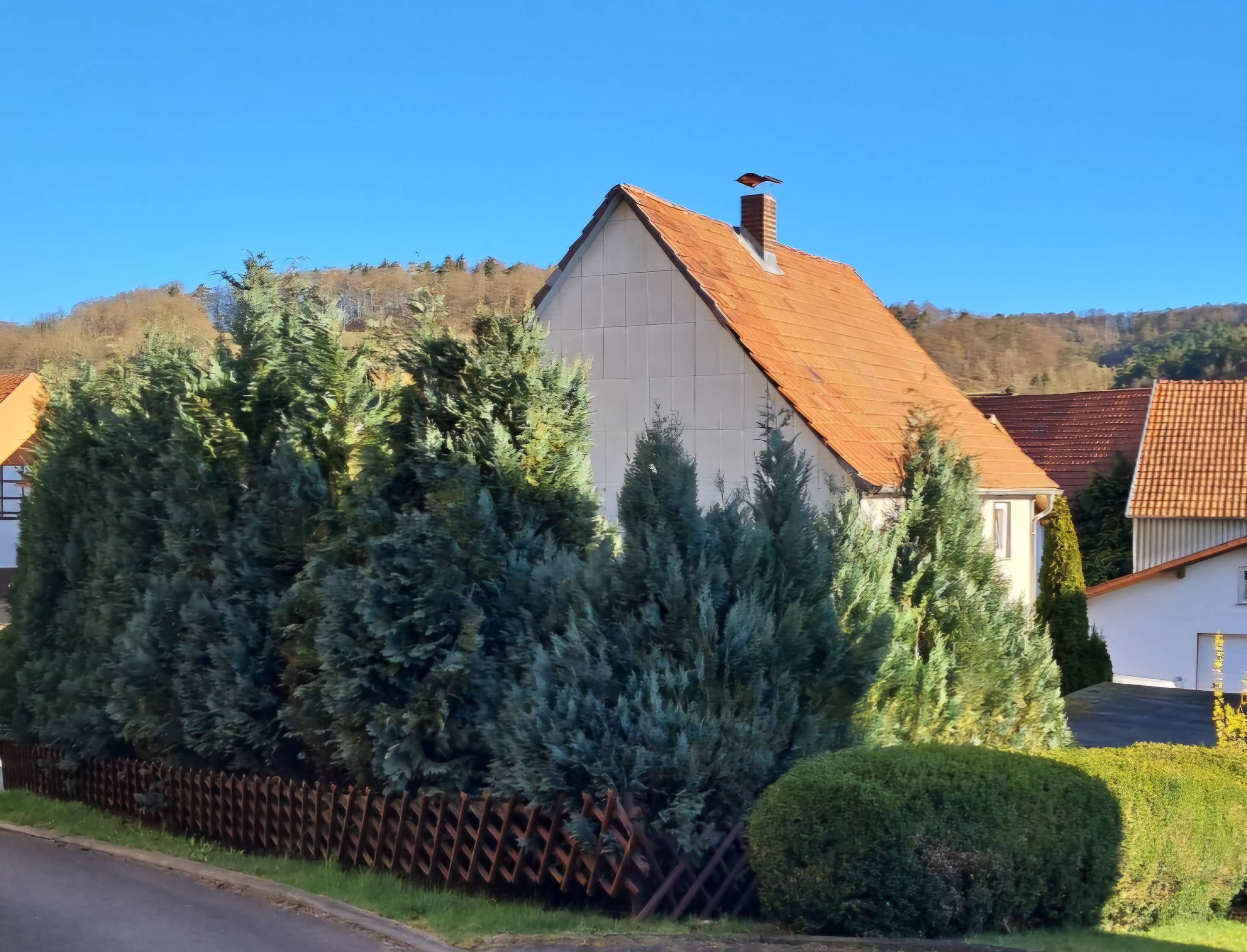 Fu./Ffm gut erreichb., KITA,Reiten,Freibad,Lidl nah, Hersfeld Rotenburg Kreis – Bild 1