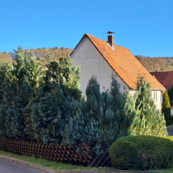 Einfamilienhaus in Neuenstein (Kreis Hersfeld-Rotenburg) - ImmoScout24