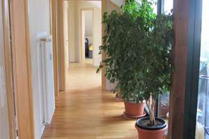 eigener Wohn(t)raum im charmanten kleinen MFH in Elbnähe – Sternstraße 2, 1139 Mickten, Dresden – Vorschaubild 13