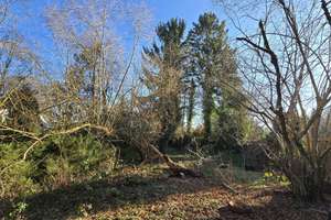 Property thumbnail 28