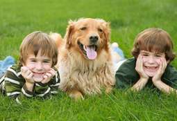 kihund