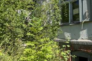 Denkmalgeschütze Villa der ehem. Patentpapierfabrik in Amtsberg südlich von Chemnitz auf ca 1.735 m² – An der Schlösselmühle 7, 9439 Erzgebirgskreis – Vorschaubild 56