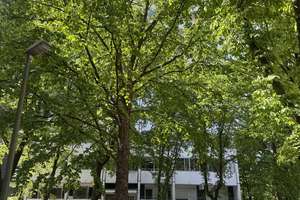 Herrenbach-Spickel: gut geschnittene 3 Zimmer-Wohnung mit Fernblick in guter Lage. Provisionsfrei! – Die vollständige Adresse der Immobilie erhältst du vom Anbieter., 86161 Wolfram-und Herrenbachviertel, Augsburg – Vorschaubild 2