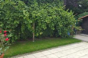 Exklusives Raumwunder in Leverkusen-Opladen mit höchstem Komfort und maximaler Privatsphäre