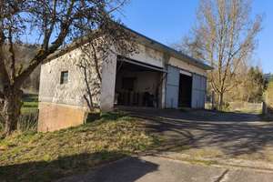 Freistehendes Landhaus mit großem - 12.800 m² Grundstück zu verkaufen (Bargeld bevorzugt)  – Seibertzmuhle 1, 55774 Ruschberg – Vorschaubild 4