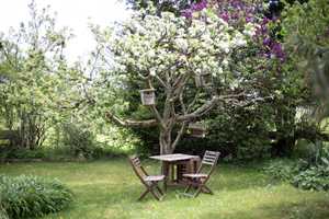 Großzügiges Wohlfühl-Haus mit wunderschönem Gartenidyll in Probstried – Oberallgäu (Kreis) – Vorschaubild 4