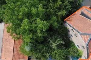 Wohnhaus in der ehem. Brempter Mühle mit 2 Garagen im Dornröschenschlaf – Zur Brücke 18, 41372 Viersen (Kreis) – Vorschaubild 3