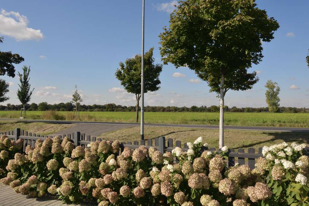 Immobilie in Velten - Modernes Zweifamilienhaus mit Blick ins Grüne – Baujahr 2018 in Velten - Bild 2