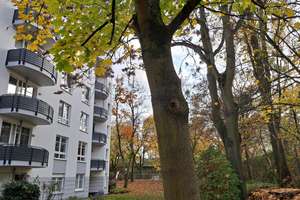 Helle 2-Zimmer-Wohnung mit Balkon im 2. OG in Darmstadt – Die vollständige Adresse der Immobilie erhältst du vom Anbieter., 64295 Darmstadt-West, Darmstadt – Vorschaubild 4