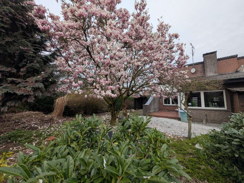 Immobilie in Kalkar - Modernes Reihenendhaus mit Carport in ruhiger Lage - Bild 3