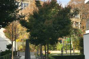Wunderschöne Wohnung in der Maxvorstadt - 2 Zimmerwohnung mit Terrasse und Garten – Die vollständige Adresse der Immobilie erhältst du vom Anbieter., 80333 Augustenstraße, München – Vorschaubild 8