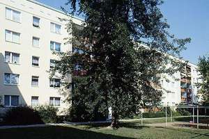 schön geschnittene 2 Zimmer Wohnung – Hertzstr. 2, 1257 Leuben (Stadtteil), Dresden – Vorschaubild 2