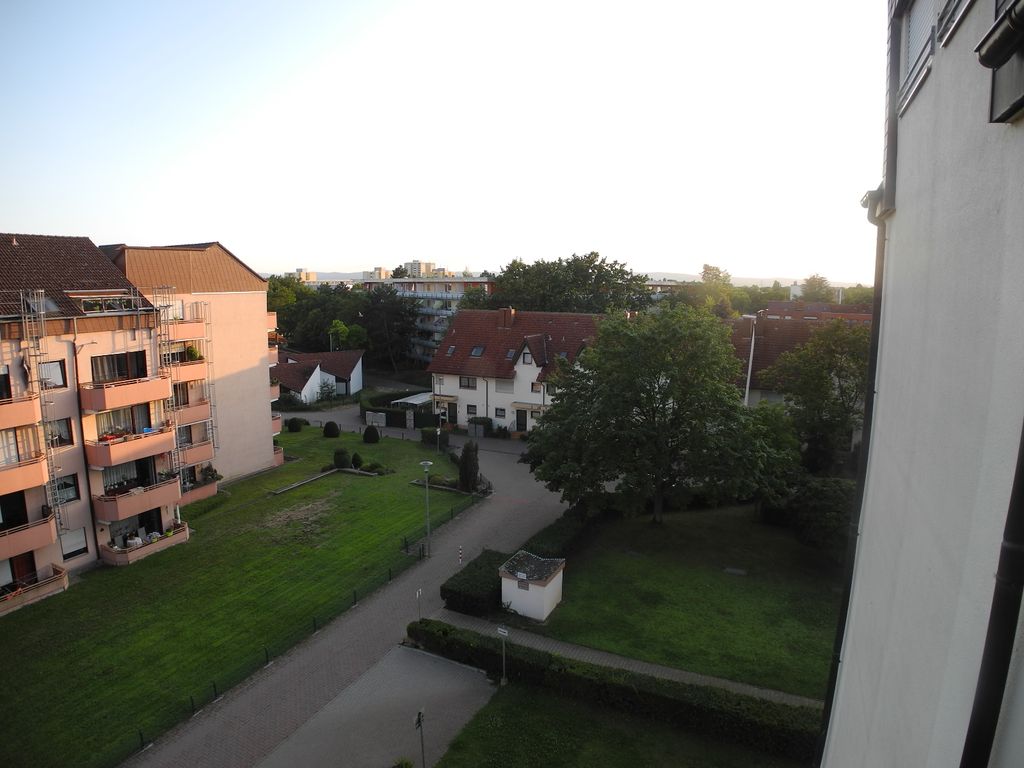 Single frankenthal