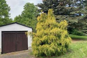 Einfamilienhaus - idyllisch Wohnen im Grenzgebiet.  – Die vollständige Adresse der Immobilie erhältst du vom Anbieter., 8648 Bad Brambach – Vorschaubild 7