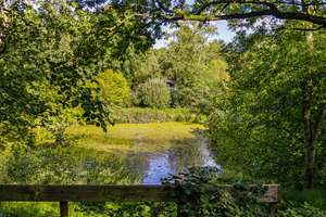 Repräsentatives Anwesen mit 12 Zimmern und Gartenparadies – Die vollständige Adresse der Immobilie erhältst du vom Anbieter., 24357 Hummelfeld – Vorschaubild 26