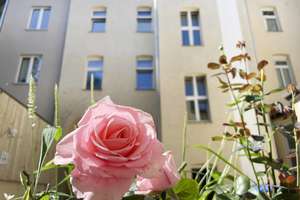 Groß, hell und viel Platz! Ein Familientraum in ruhiger Hoflage mit tollen Sichtbalken. Gleich hinte – Ludwig-Wucherer-Str. 62, 6108 Paulusviertel, Halle (Saale) – Vorschaubild 12